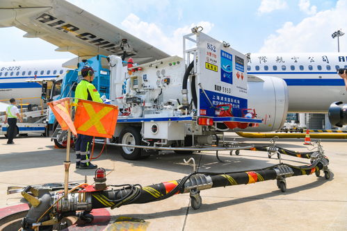 機坪熱浪中的堅守 上海機場人用汗水保障暑運旅客與貨物暢通